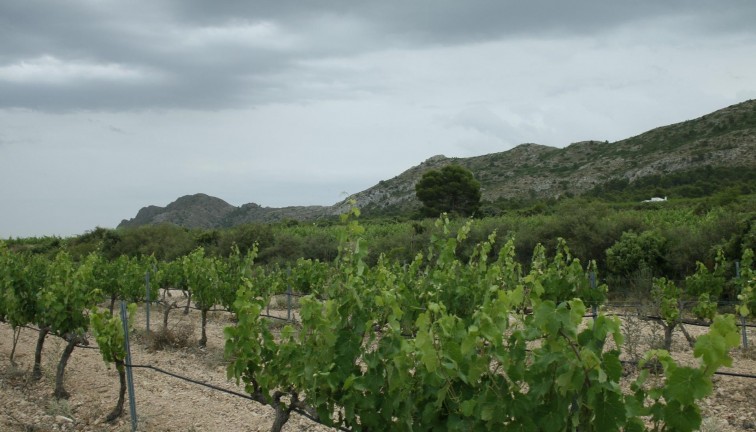 New Build - Chalet - Yecla