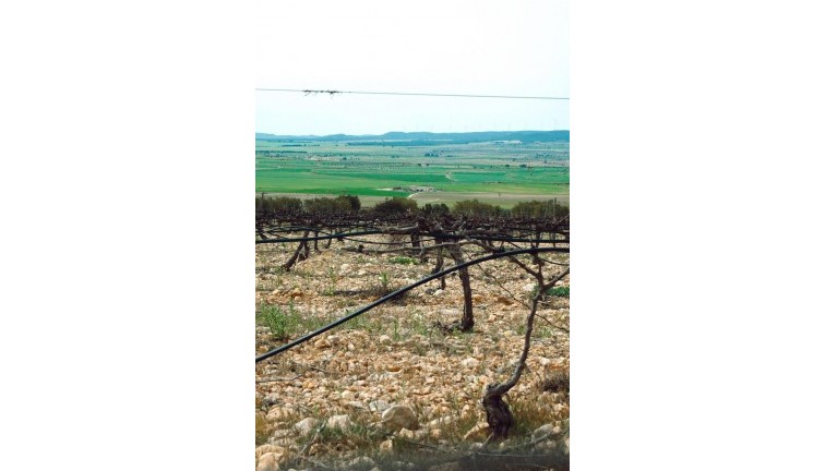 New Build - Chalet - Yecla