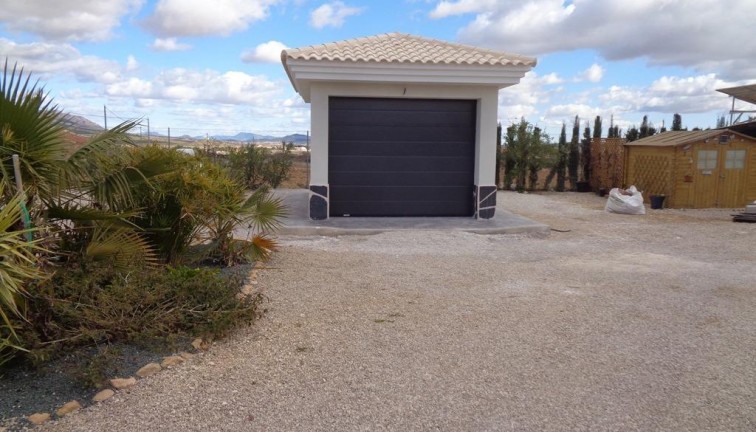 Uudistuotanto - Erillistalo - Pinoso