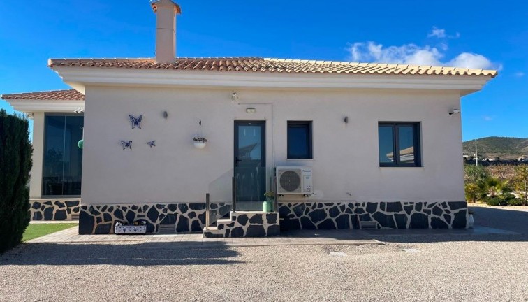 Uudistuotanto - Erillistalo - Pinoso