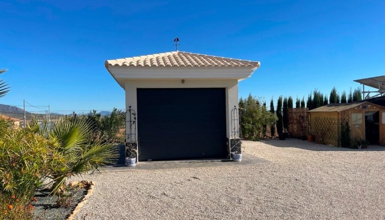 Uudistuotanto - Erillistalo - Pinoso