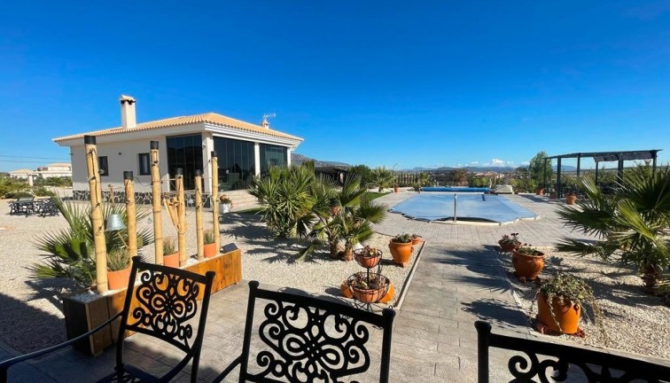 Uudistuotanto - Erillistalo - Pinoso