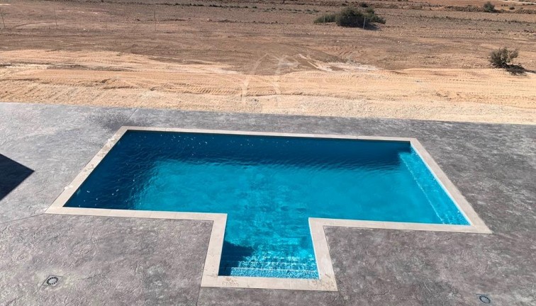 New Build - Chalet - Pinoso