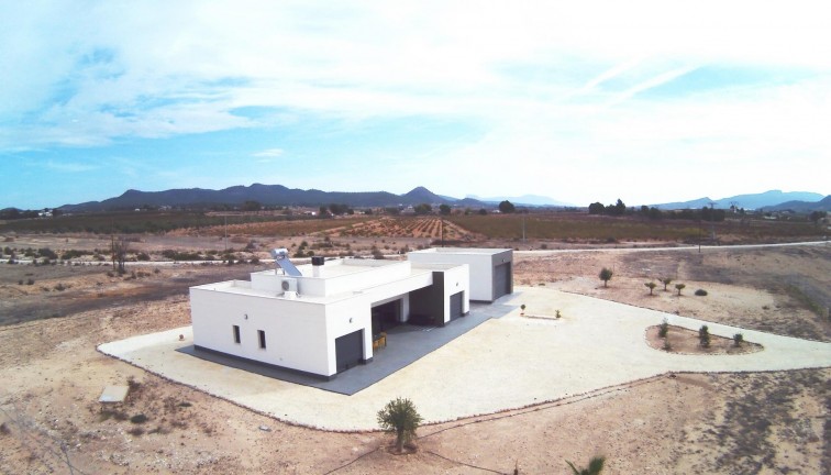 Uudistuotanto - Erillistalo - Pinoso