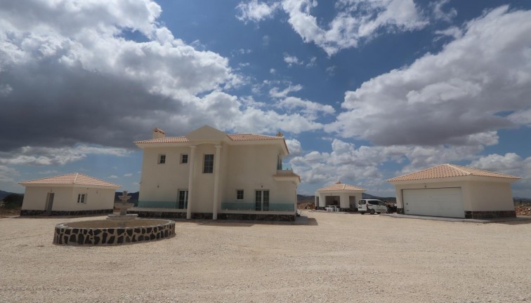 Uudistuotanto - Erillistalo - Pinoso