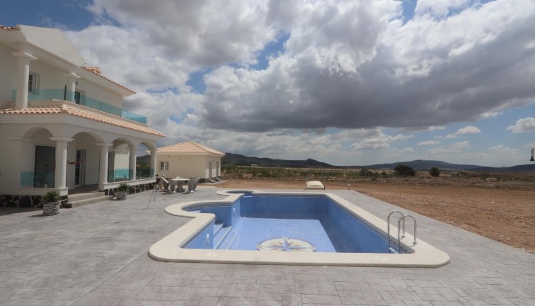 Uudistuotanto - Erillistalo - Pinoso