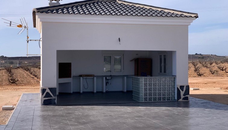 Uudistuotanto - Erillistalo - Pinoso