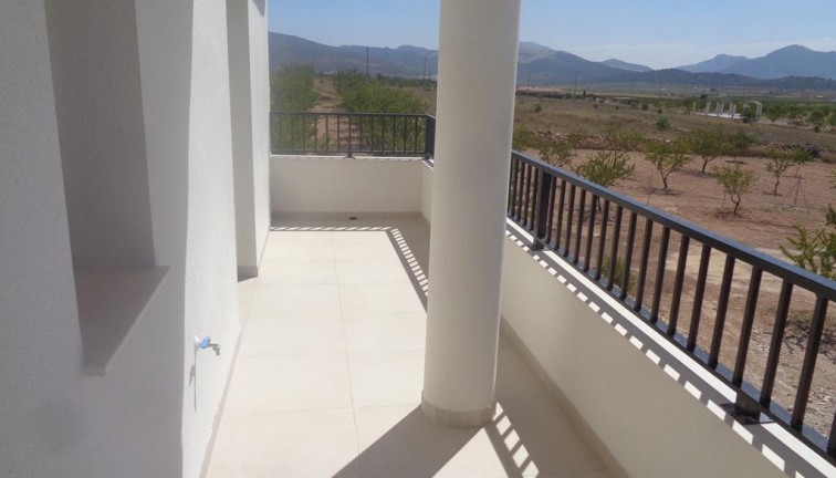 Uudistuotanto - Erillistalo - Pinoso