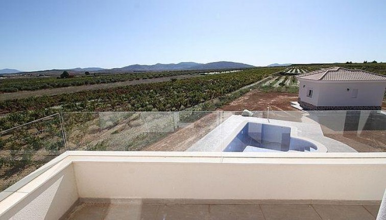 Uudistuotanto - Erillistalo - Pinoso