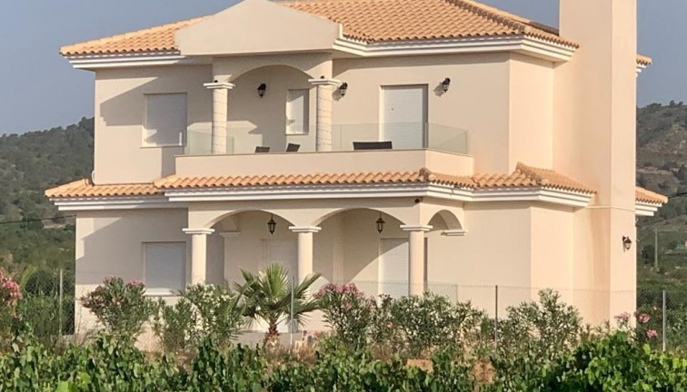 Uudistuotanto - Erillistalo - Pinoso