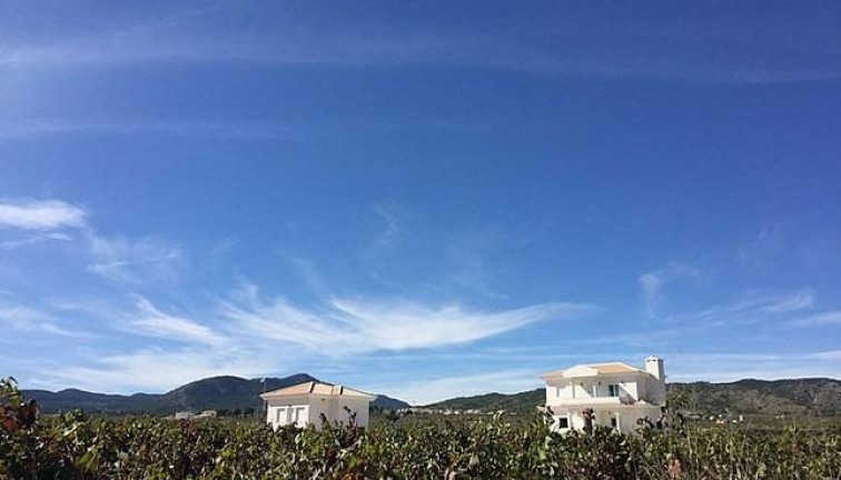 Uudistuotanto - Erillistalo - Pinoso