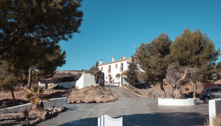 Reventa - Finca - Lorca