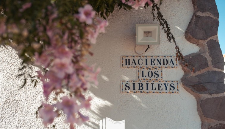 Reventa - Finca - Lorca