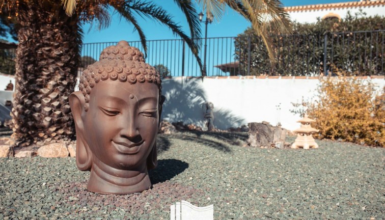 Reventa - Finca - Lorca