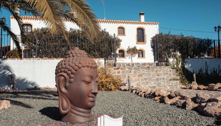Reventa - Finca - Lorca