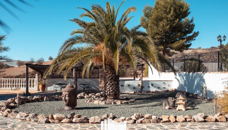 Reventa - Finca - Lorca