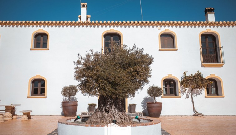 Reventa - Finca - Lorca