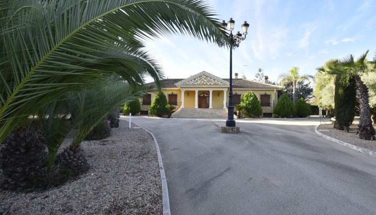 Återförsäljning - Finca - La Matanza