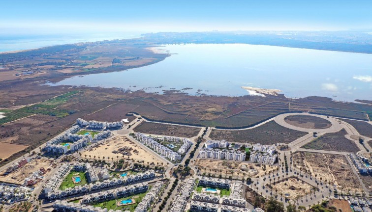 Obra nueva - Apartamento / piso - Guardamar del Segura