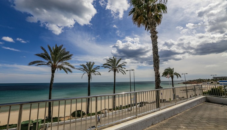 New Build - Chalet - La Zenia