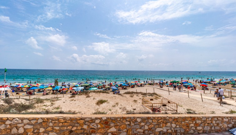 New Build - Chalet - La Zenia